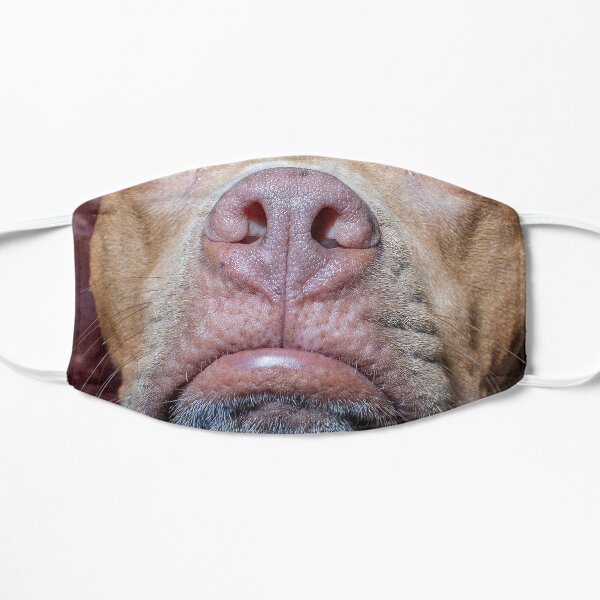 The MONTIE Mask