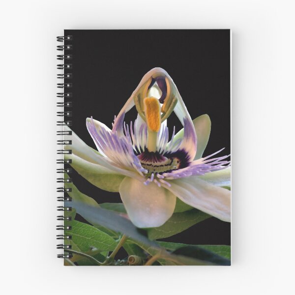 Item preview, The opening of a passion designed and sold by Madalena Lobao-Tello.