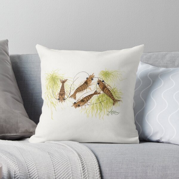 "Shrimp" by Amber Marine ~ watercolor painting, © 2013 Throw Pillow