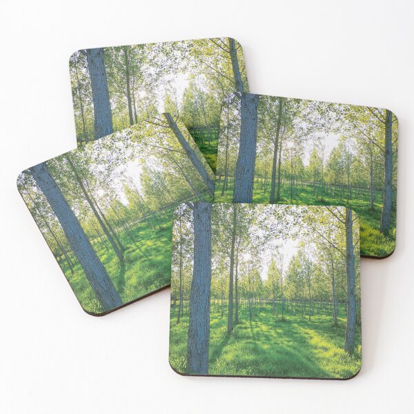 Item preview, Muchos árboles en el bosque designed and sold by sebdrew.