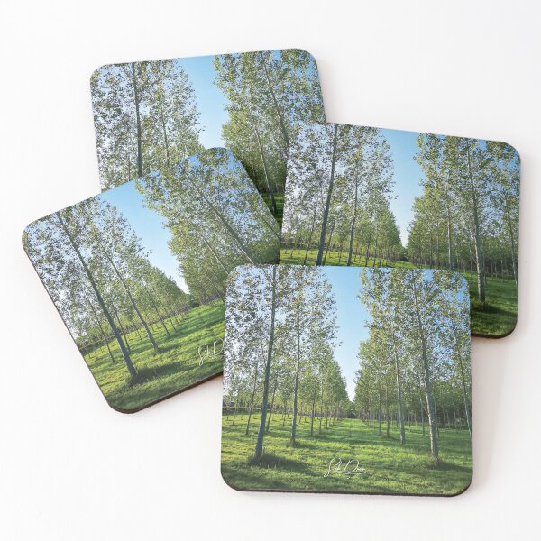 Item preview, Camino por el bosque designed and sold by sebdrew.