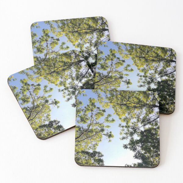 Item preview, Nature photography forest treetop designed and sold by Aline22.