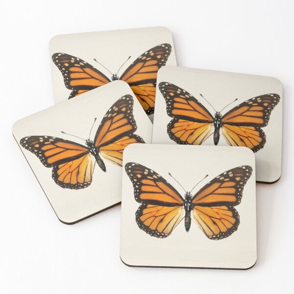 Monarch Butterfly | Monarch Butterflies | Moths and Butterflies of the United States | Vintage Butterflies | Coasters (Set of 4)