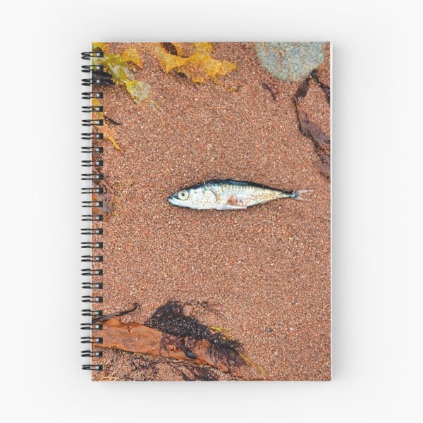 Aperçu de l'œuvre Poisson mort créée et vendue par Richard W J Conyard.