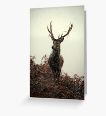 Stag in a blizzard Greeting Card