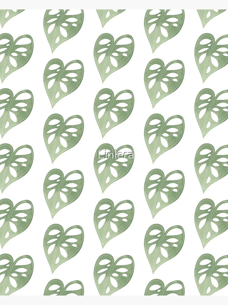 "Swiss Cheese Plant Leaf Pattern Art" Art Print by Linlera Redbubble