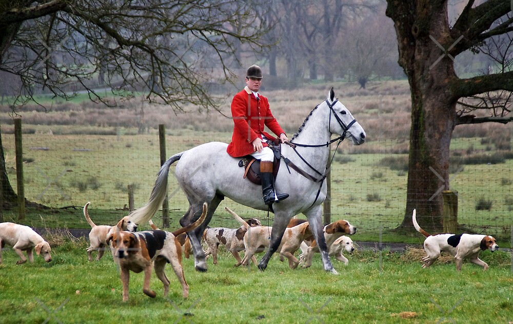 "Horse & Hounds" by Country Pursuits Redbubble