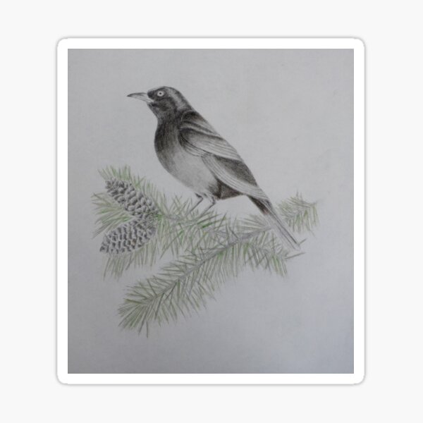On the 4th Day of Christmas Sticker