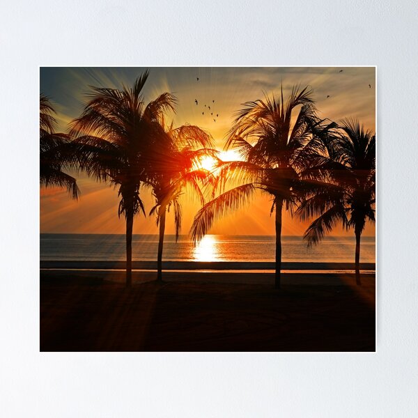 Item preview, SUNSET COCONUT TREES designed and sold by Eston Kamau.