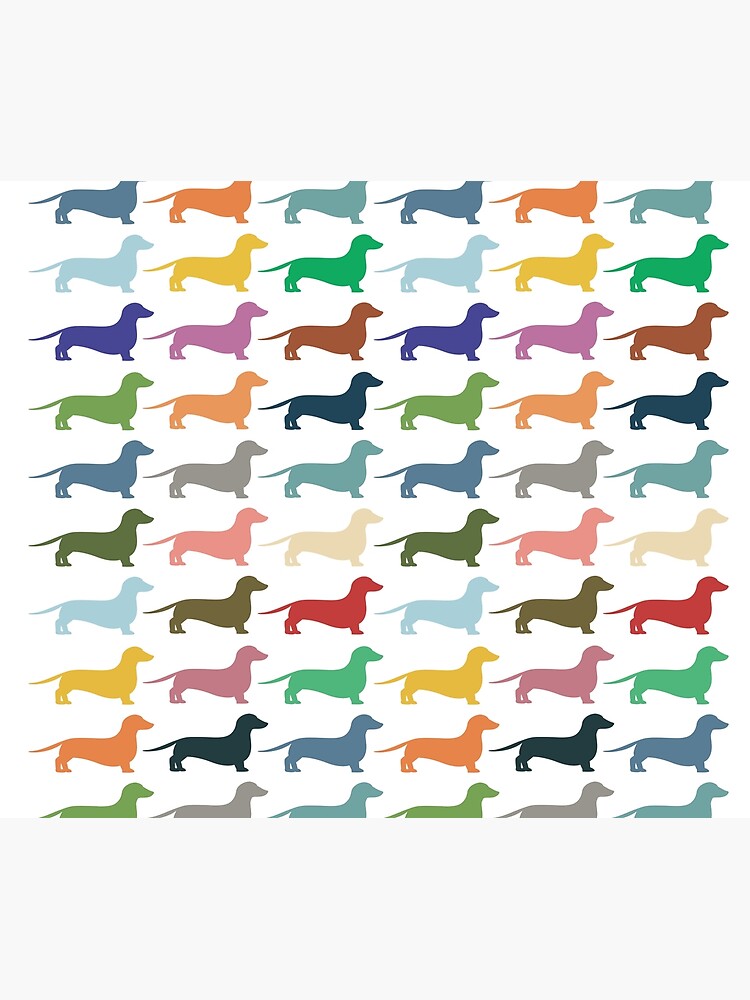 Discover Dachshunds Duvet Cover