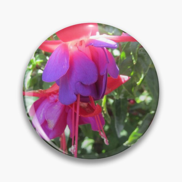 Item preview, Sunlit Fuscia designed and sold by joshuarainbird.