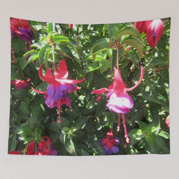 Item preview, Sunlit Fuscia designed and sold by joshuarainbird.