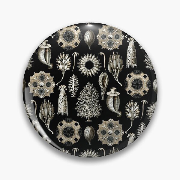Item preview, Ernst Haeckel - Scientific Illustration - Calcispongiae designed and sold by ShaMiLaB.