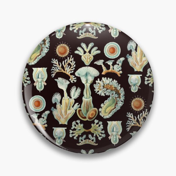 Item preview, Ernst Haeckel - Scientific Illustration - Bryozoa (black) Art Print designed and sold by ShaMiLaB.