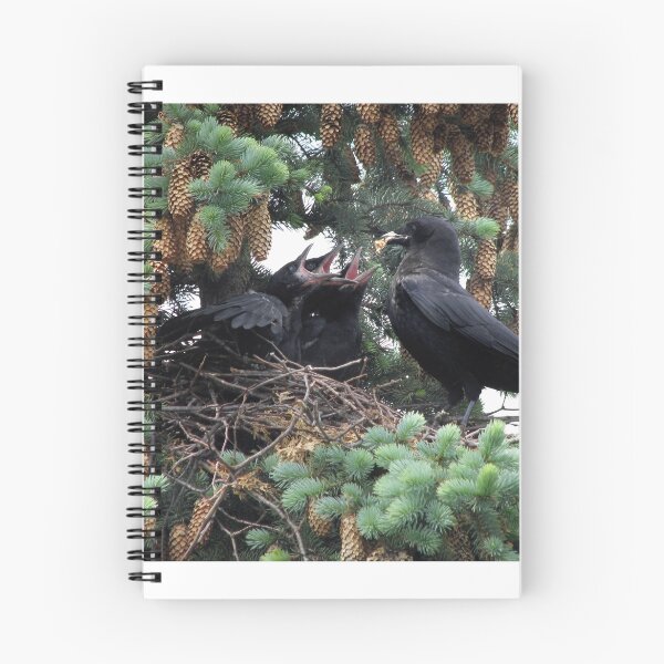 Item preview, A murder of crow... designed and sold by James Cumming.