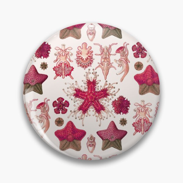 Item preview, Ernst Haeckel - Scientific Illustration - Asteroidea (Red) designed and sold by ShaMiLaB.