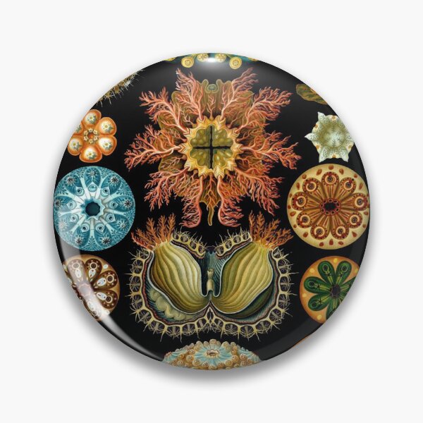Item preview, Ernst Haeckel - Scientific Illustration - Ascidiae designed and sold by ShaMiLaB.