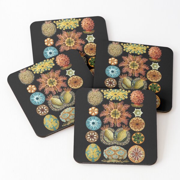 Item preview, Ernst Haeckel - Scientific Illustration - Ascidiae designed and sold by ShaMiLaB.