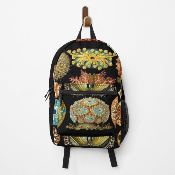 Item preview, Ernst Haeckel - Scientific Illustration - Ascidiae designed and sold by ShaMiLaB.