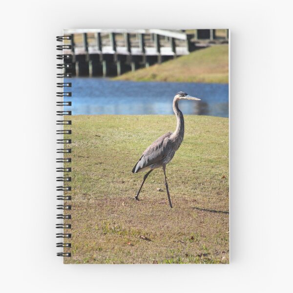 Item preview, Heron Strolling  designed and sold by Cynthia48.