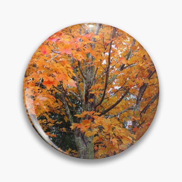 Item preview, Sugar Maple Tree designed and sold by Cynthia48.