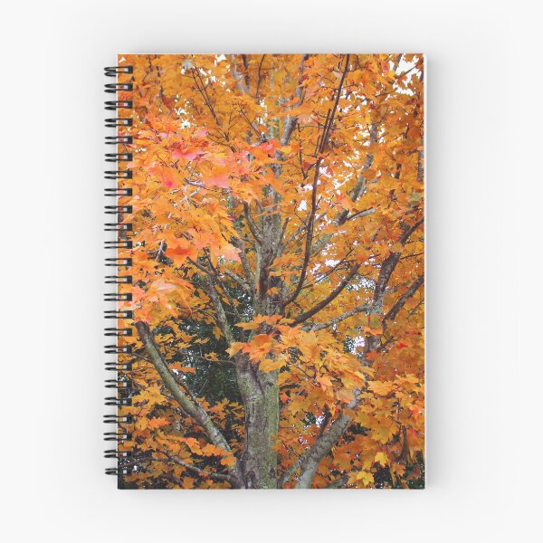 Item preview, Sugar Maple Tree designed and sold by Cynthia48.