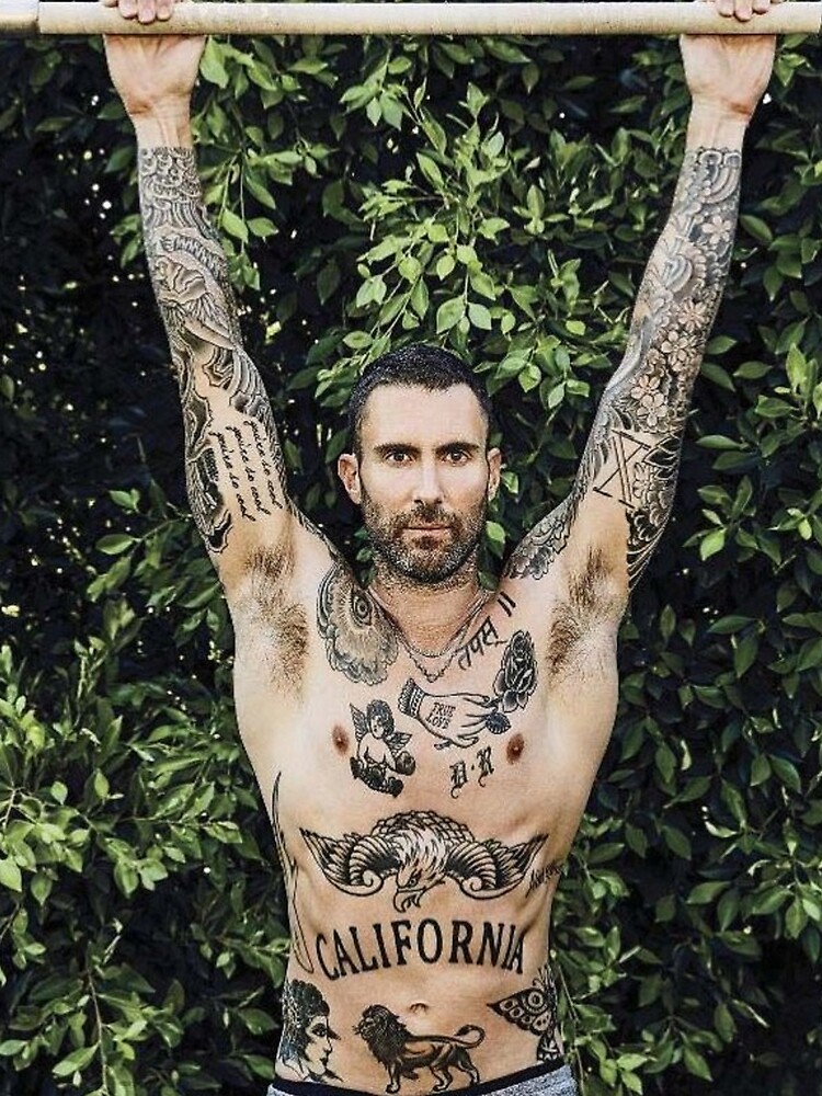 adam levine shirt