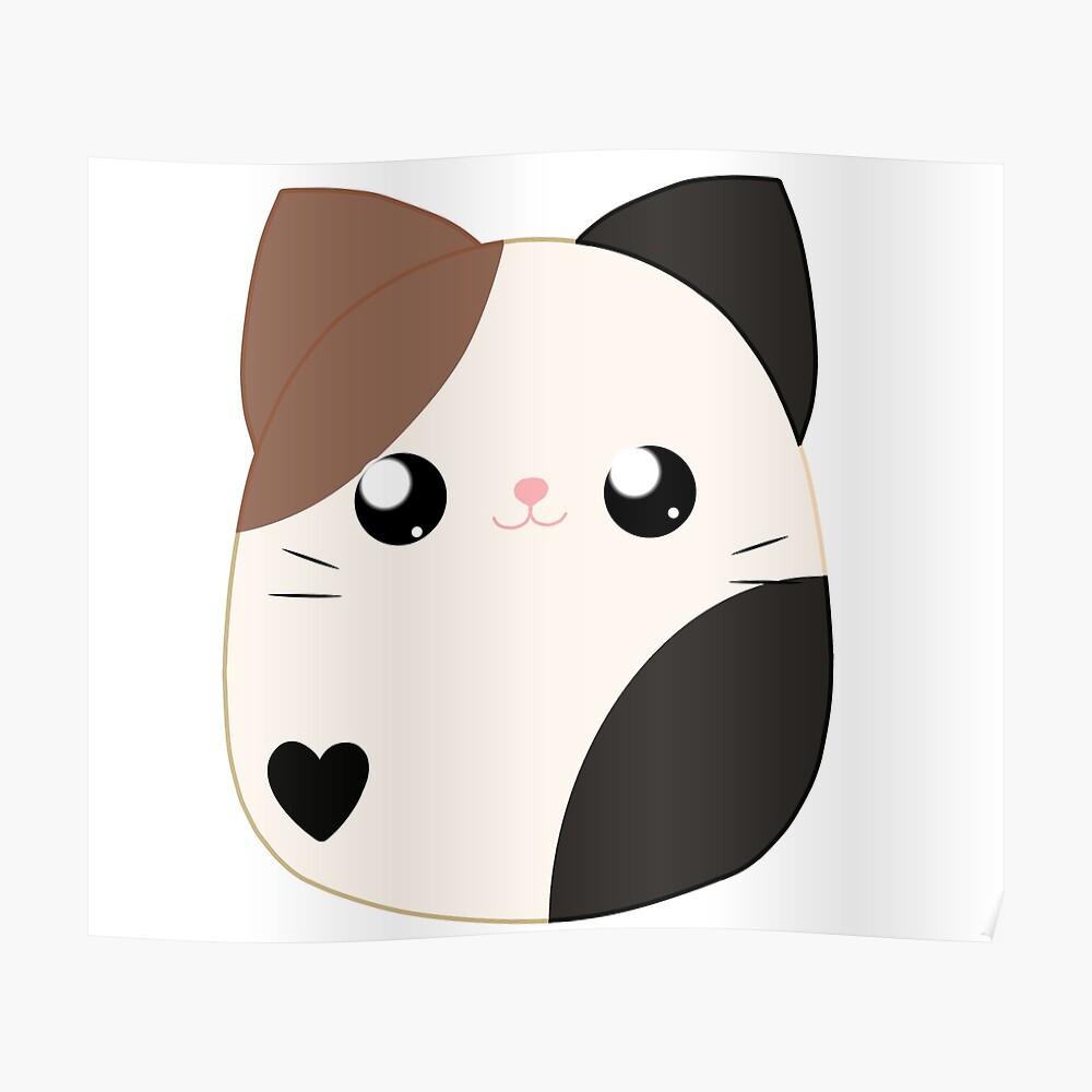 brown and black cat squishmallow name