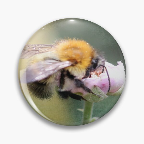 Item preview, Bee Kind to Yourself designed and sold by BenitaJayne.