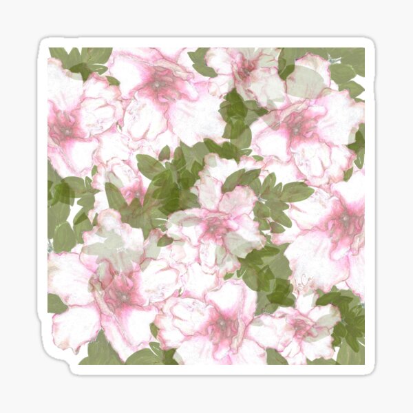 Secret Sticker