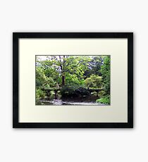 The Old Footbridge. Framed Print