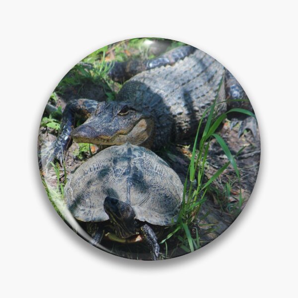 Item preview, Turtle Says Follow Me designed and sold by Cynthia48.