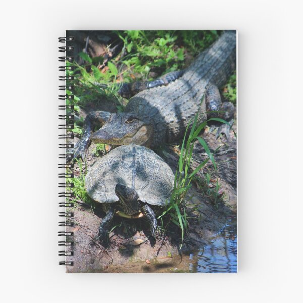 Item preview, Turtle Says Follow Me designed and sold by Cynthia48.