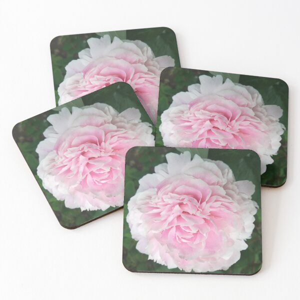 Item preview, Pale pink Peony photograph designed and sold by esvb.