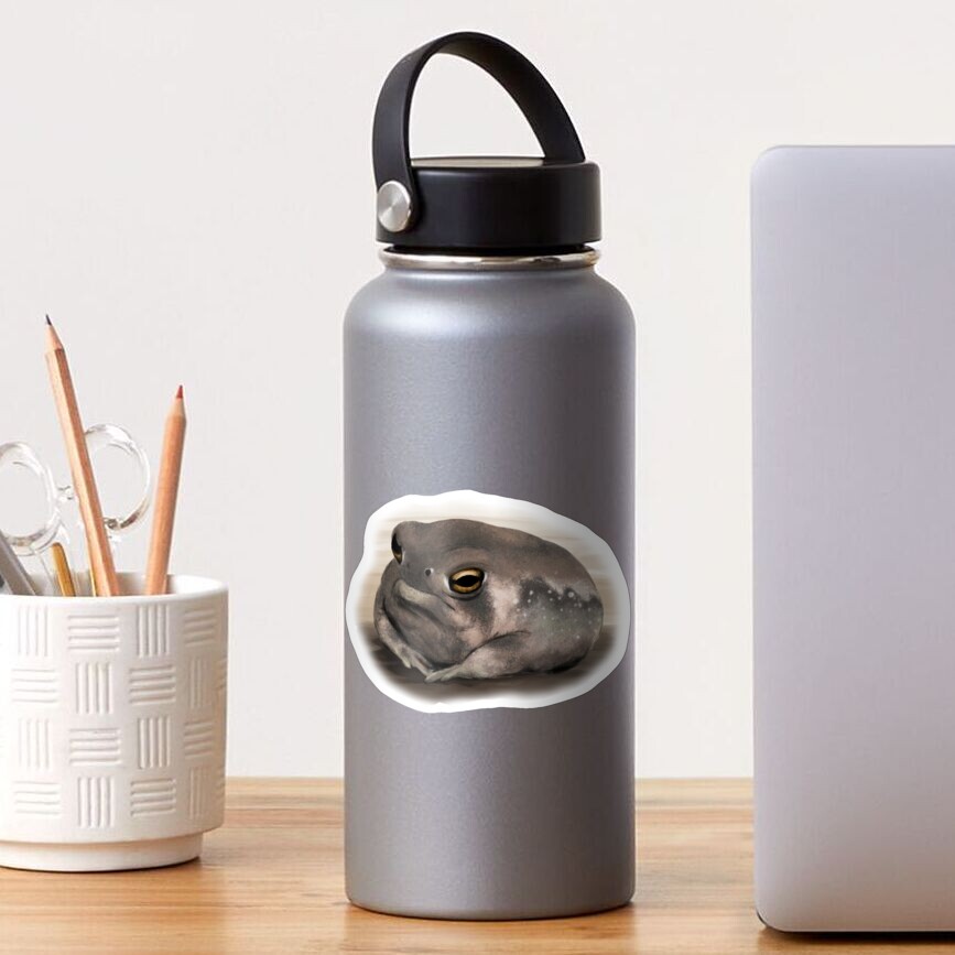 "grumpy desert rain frog (aka sauce boss)" Sticker for Sale by