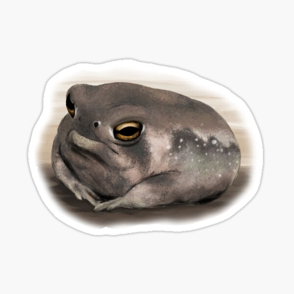 "grumpy desert rain frog (aka sauce boss)" Sticker for Sale by