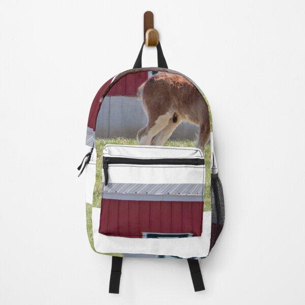 Item preview, Amazing Clydesdale Foal designed and sold by Carol Bock.