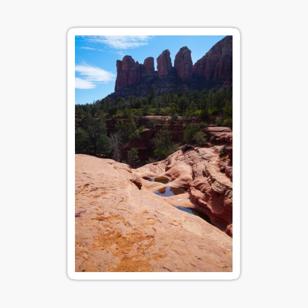 Reflections in the Shallow Sandstone Pools Sticker