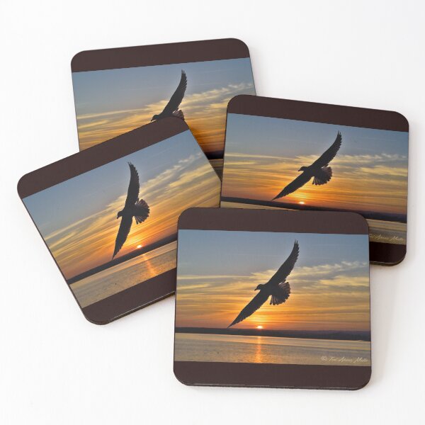 Item preview, Seagull on the Guadiana river designed and sold by TamworldShop.