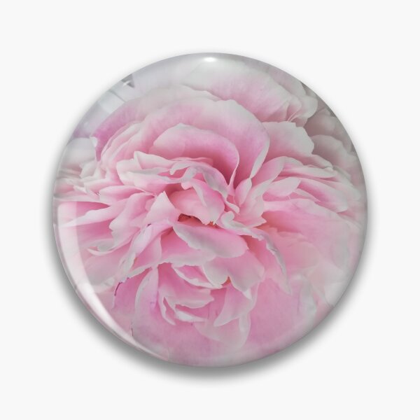 Item preview, Pale pink Peony photograph designed and sold by esvb.