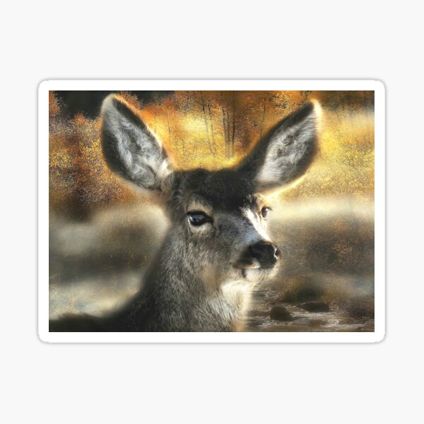 DOE Sticker