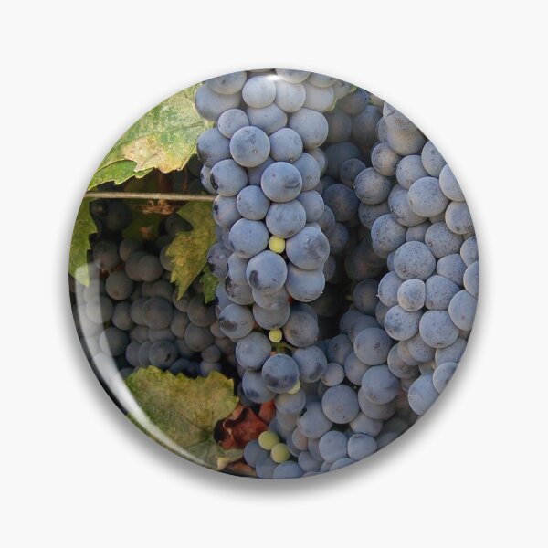 Artikelvorschau, Aglianico. entworfen und verkauft von StellaLunaFilms.