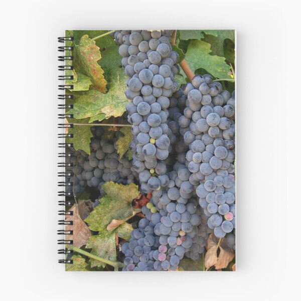 Artikelvorschau,  Aglianico. entworfen und verkauft von StellaLunaFilms.