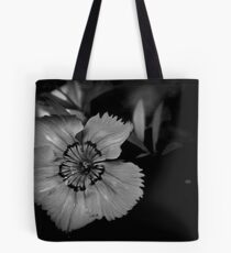 Teeny Weeny Tote Bag