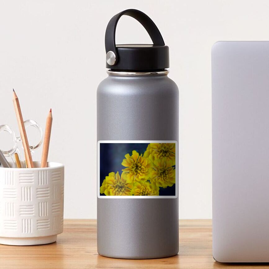 Midnight Blue Yellow Adalia Flowers Sticker