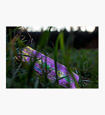 Sliding Photographic Print
