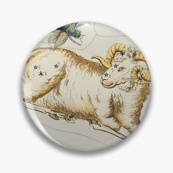 Item preview, Aries and Musca Borealis Sidney Hall designed and sold by Nikkita-tennant.
