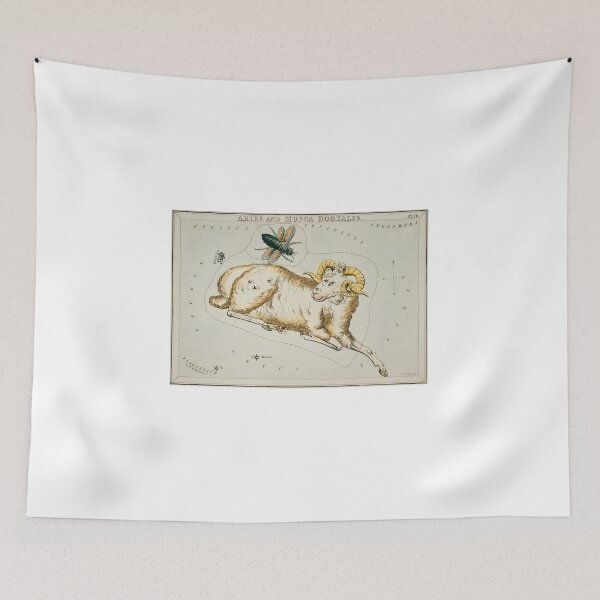 Item preview, Aries and Musca Borealis Sidney Hall designed and sold by Nikkita-tennant.