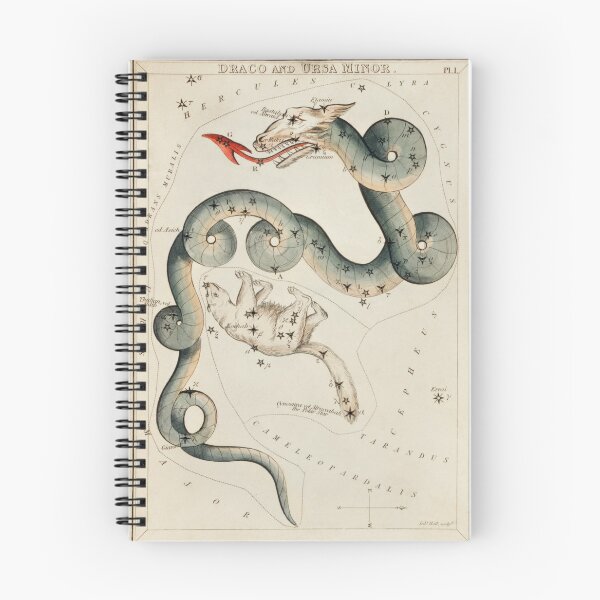 Item preview, Draco and the Ursa Minor. Sidney Hall designed and sold by Nikkita-tennant.
