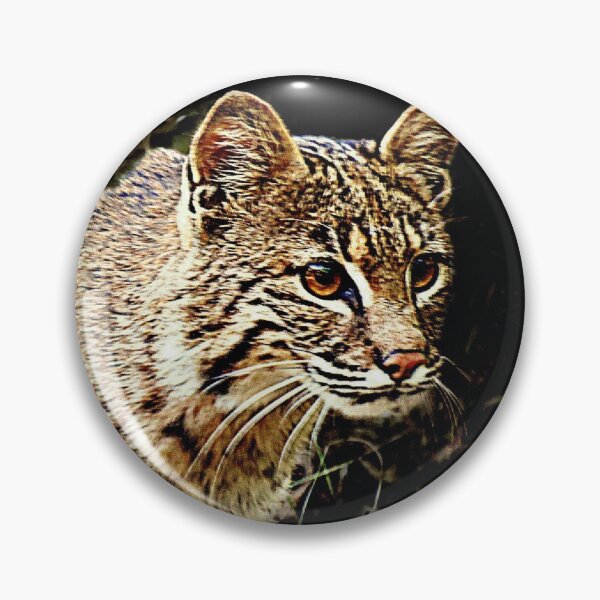 Item preview, Bobcat Stalking designed and sold by Jean Gregory Evans.